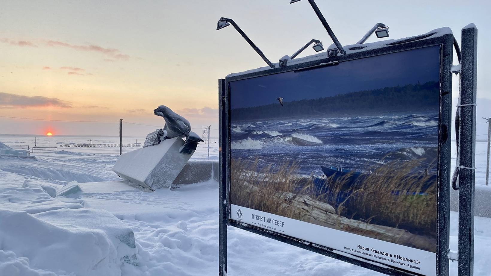 Уличная фотовыставка «Открытый Север-2021» расположилась на набережной Северной Двины